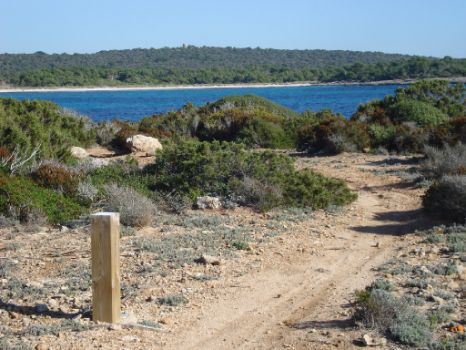 Vista del camino en el tramo comprendido entre Es Grau y Favàrits